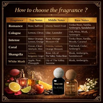 Bergmann Planet Intense Air Freshener 110ml